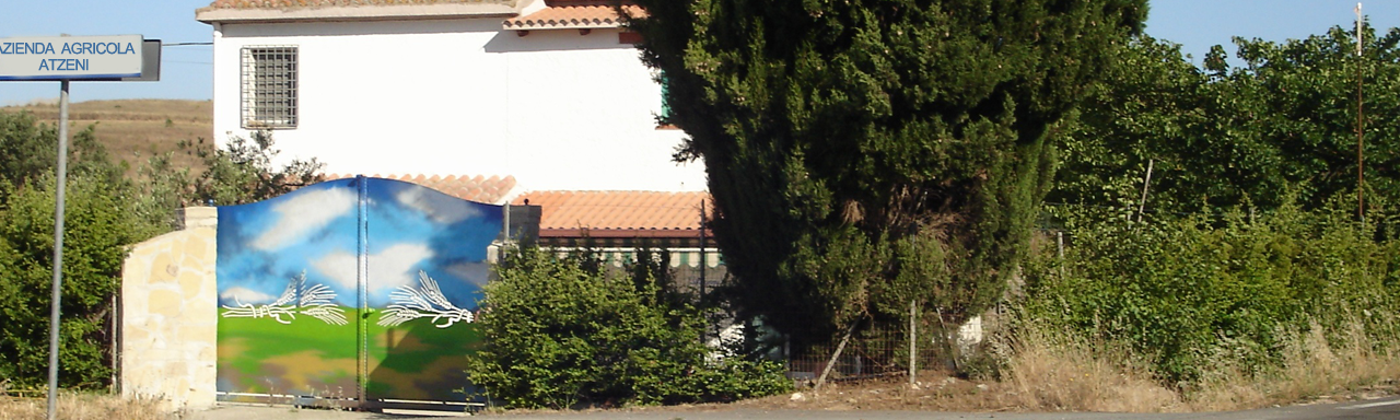 Vivez la Sardaigne chaque jour à votre table